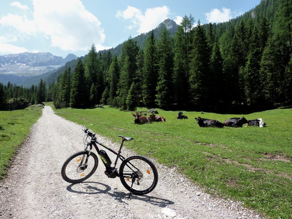 Appartamenti Majon Sotroi Campitello di Fassa Esterno foto